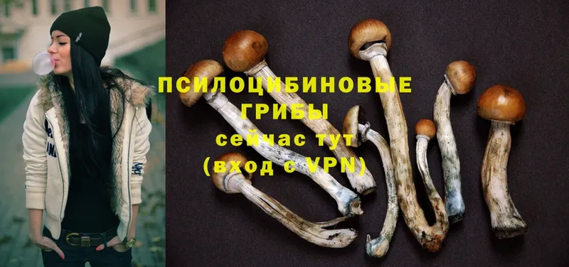 сколько стоит  Барабинск  Галлюциногенные грибы MAGIC MUSHROOMS 